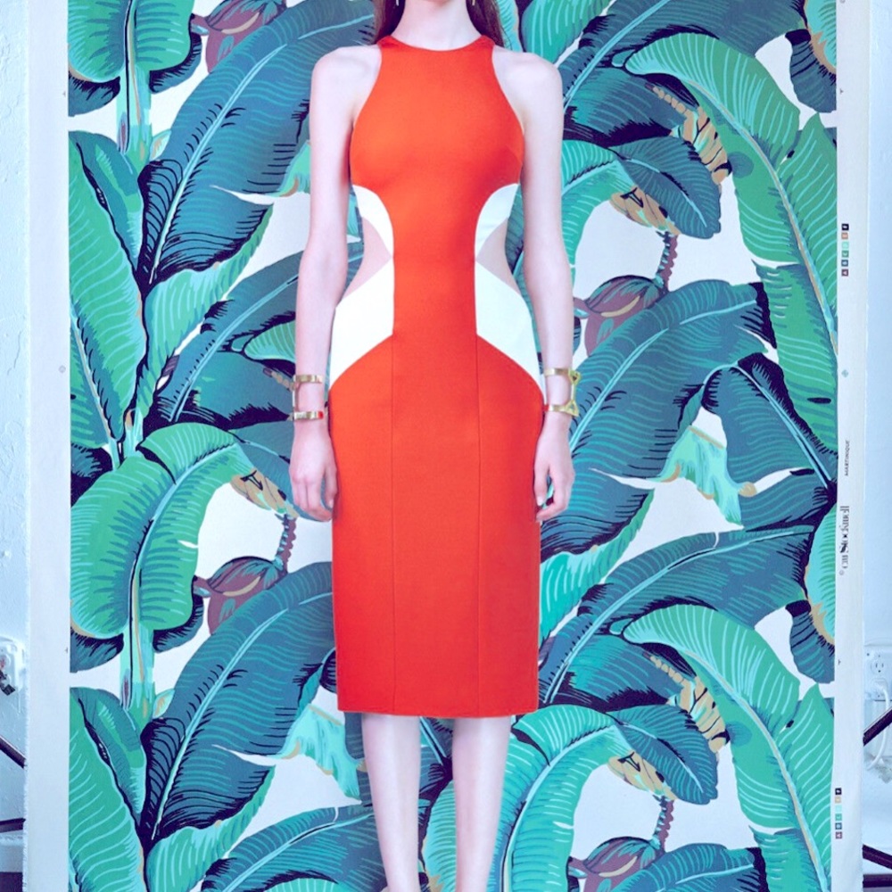 Cushnie Et Ochs Dress with Side Cut Out.